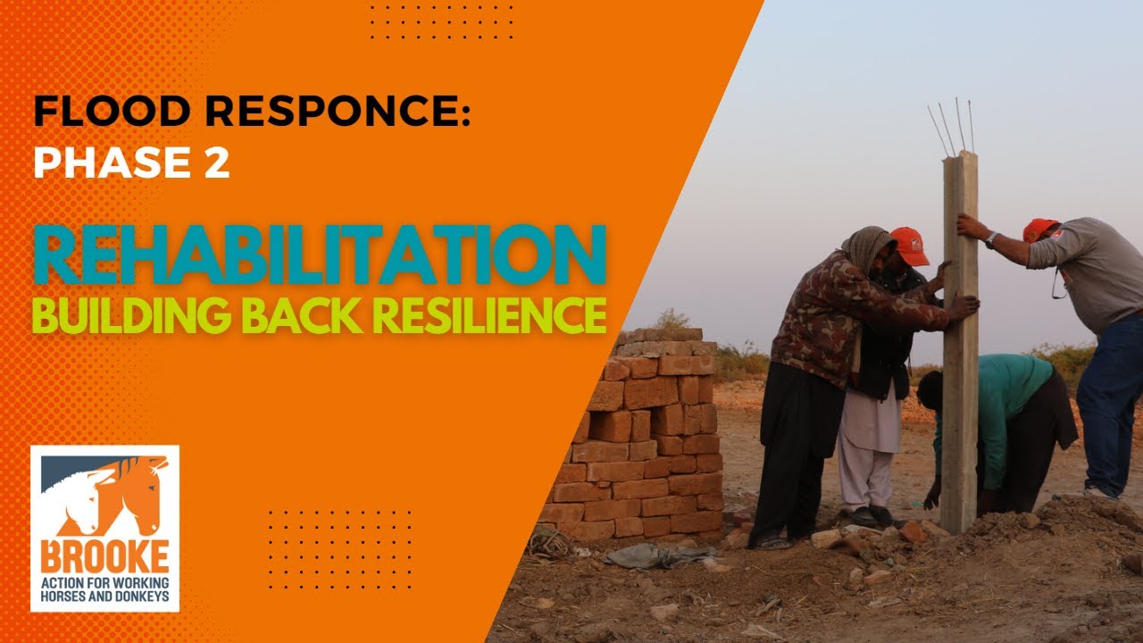 Brooke Pakistan Flood Response: Phase 2