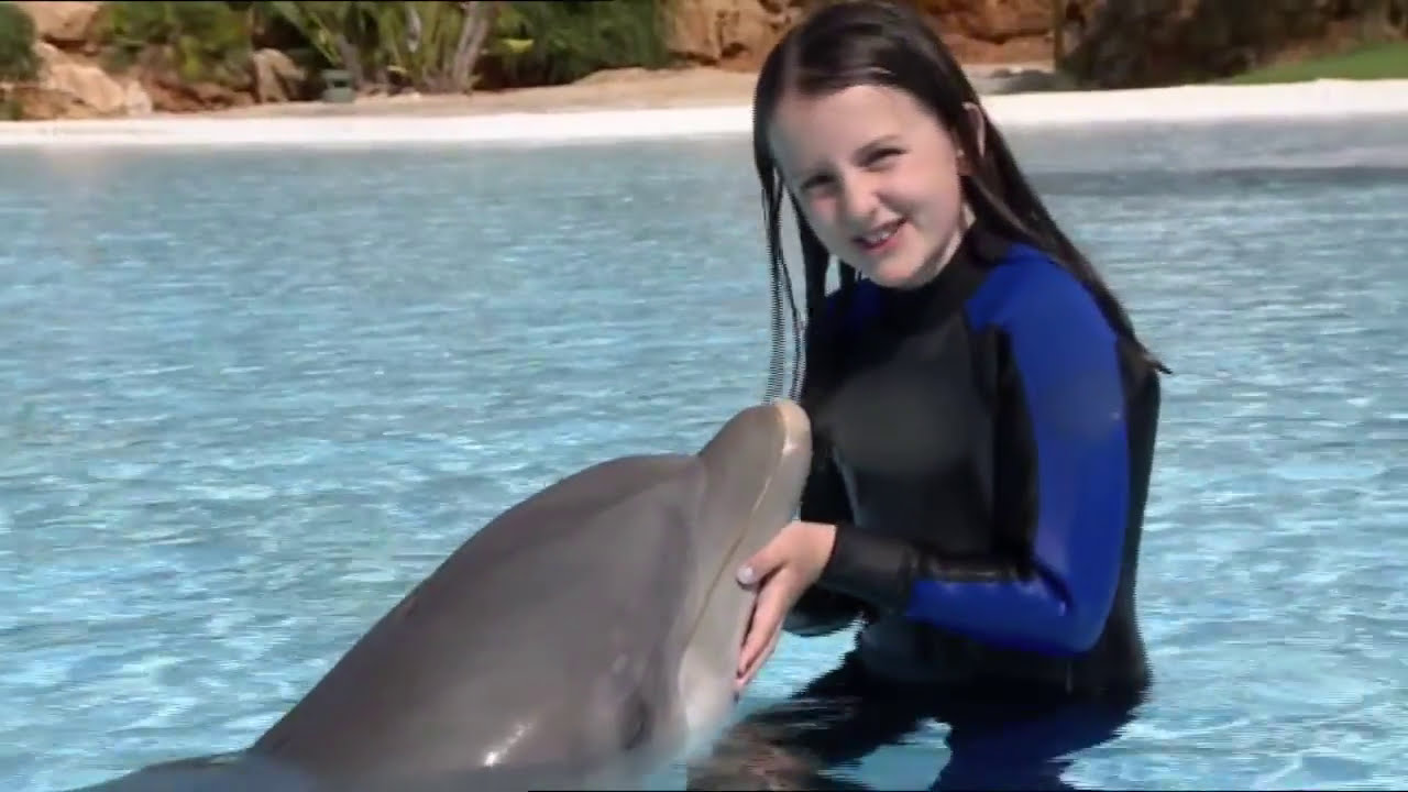 Una's Dream Ticket - Dolphins Emotions by Zoomarine - A Dream Come True