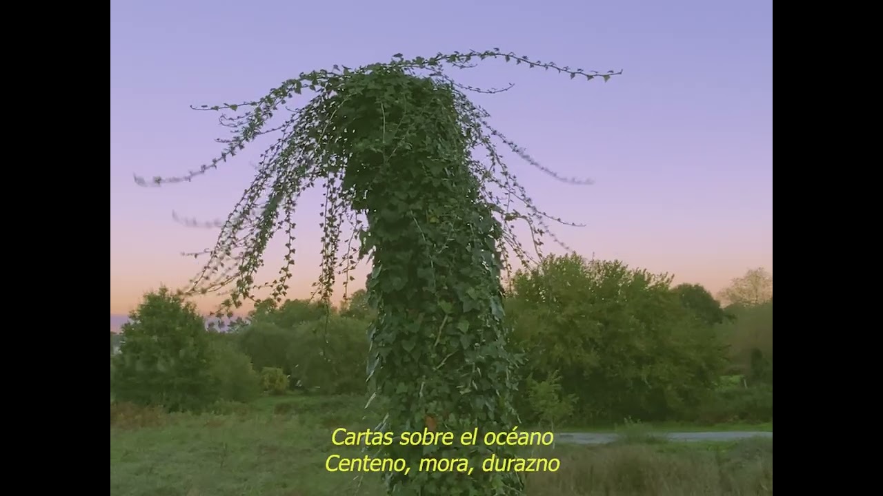 Juanito El Cantor - Aldea San Cosme