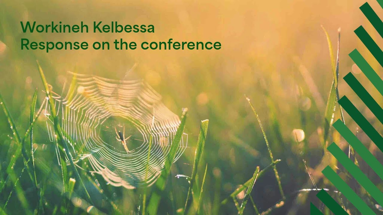 Response by Workineh Kelbesa