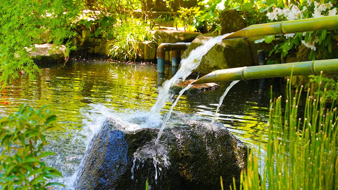 20 Minutes Meditation Music, Pure Clean Energy,  Positive Vibration, Meditation Music, Water Sounds