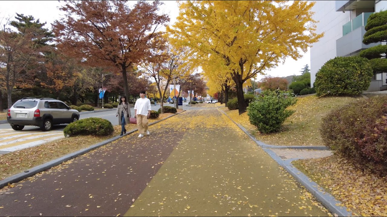 【4K】Daejeon, Korea - Campus Walk - Chungnam National University & KAIST