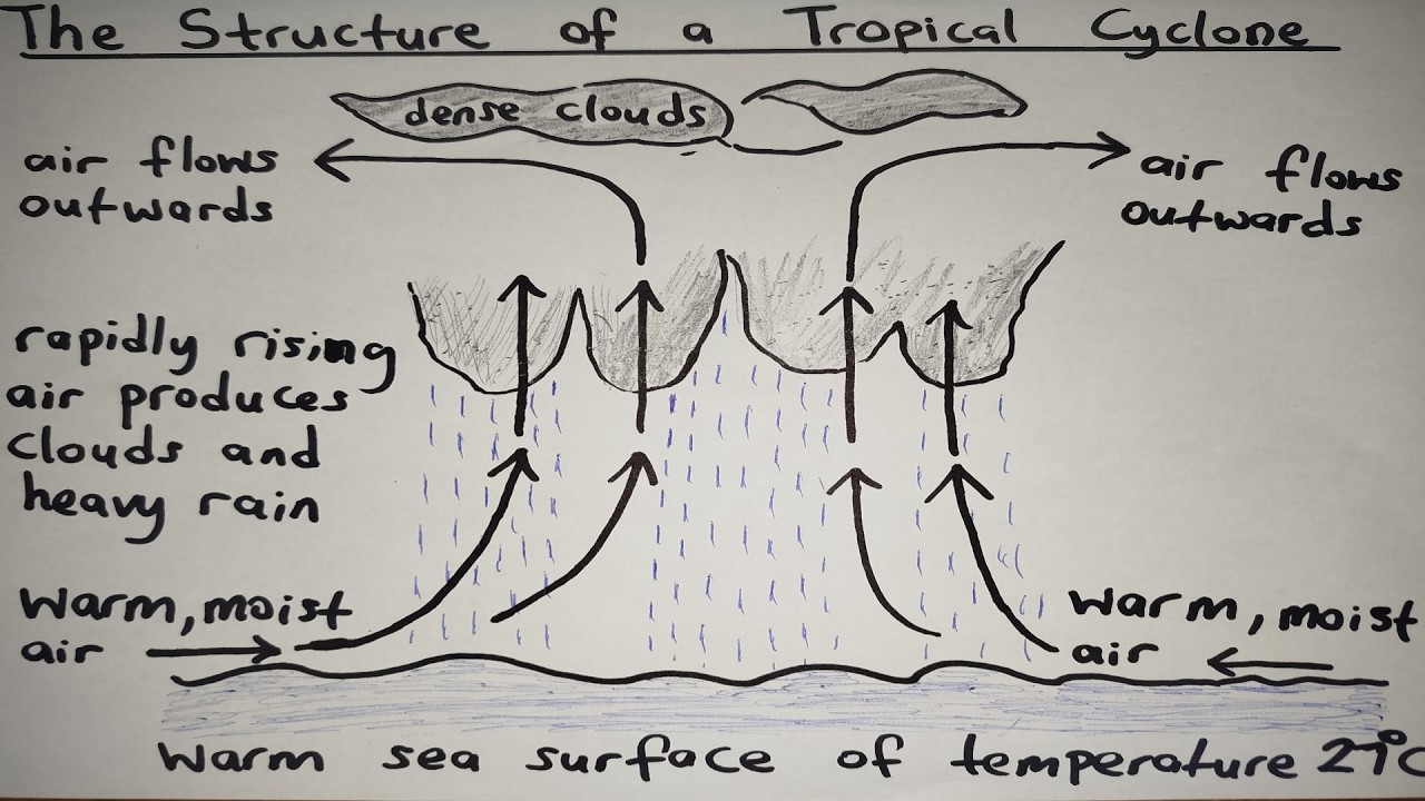 February Fury: The Impact of Tropical Cyclones