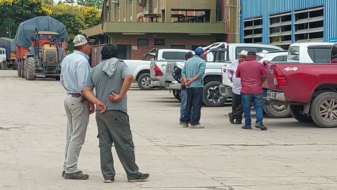 Alliance One en Jujuy: Así funciona el acopio centralizado en la Cooperativa