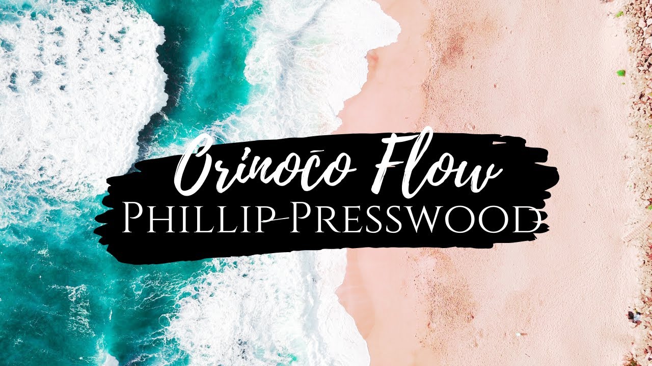 Orinoco Flow from the album 'ENYA' by Phillip Presswood
