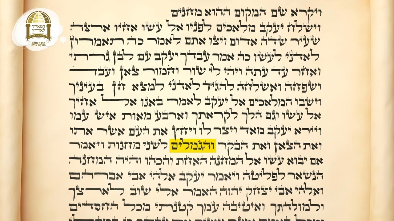 קריאת התורה - פרשת וישלח | לימות החול: שני וחמישי, ולמנחה בשבת | נוסח מרוקאי
