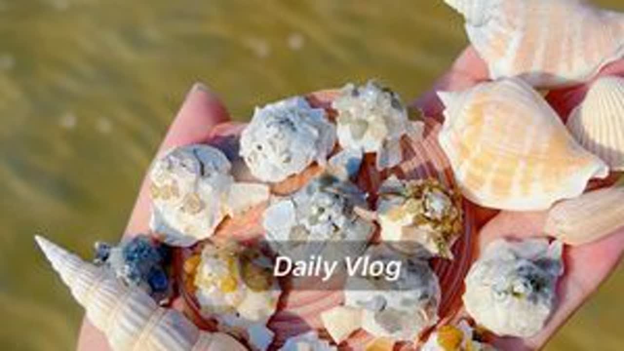 海神广场左侧海沟 记得看潮汐表退到两米左右再去，越“早”机会越大，别等别人捡完了再去🤣#一般人不知道是什么 #捡贝壳#北海