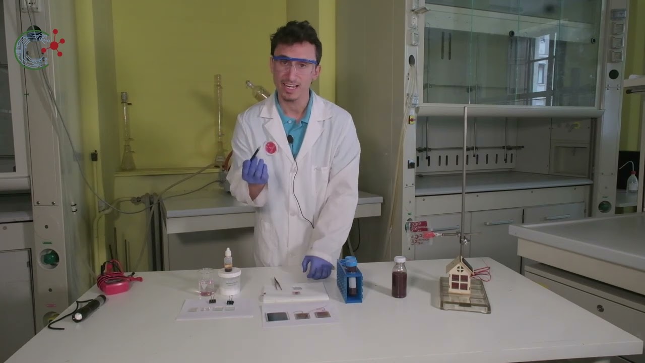 Dal laboratorio alla società - Fotovoltaico dai mirtilli