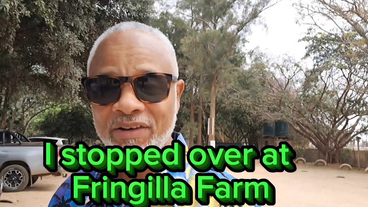 I Stopped over at Fringilla Farm.