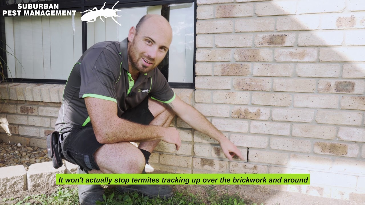 How to maintain your new building Termite Warranty with SPM