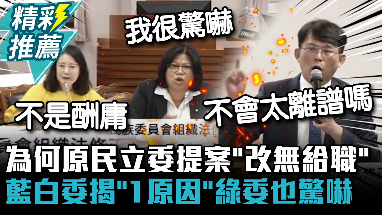 為何鄭天財、高金素梅提案「族群委員改無給職」？黃國昌轟一片綠友友…綠委也驚嚇 【CNEWS】