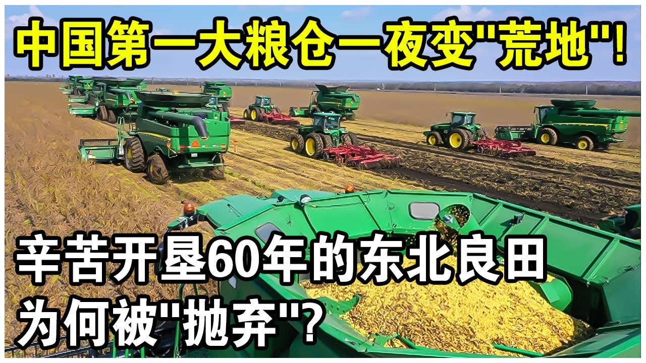 中國第一大糧倉一夜變&ldquo;荒地&rdquo;？辛苦開墾60年的東北良田遭&ldquo;拋棄&rdquo;，20年後首次現狀曝光！