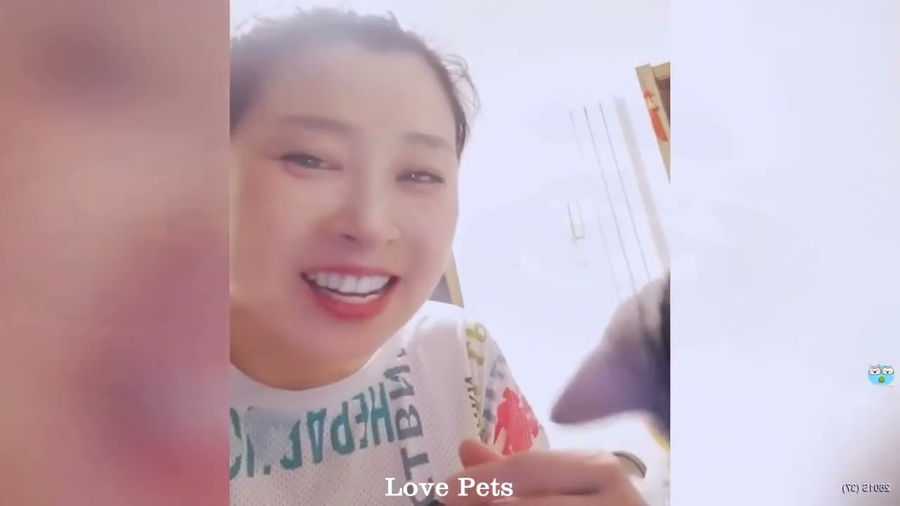 You Laugh You Restart 🐶 Funniest Cats and Dogs 2026 💝 🐈‍⬛