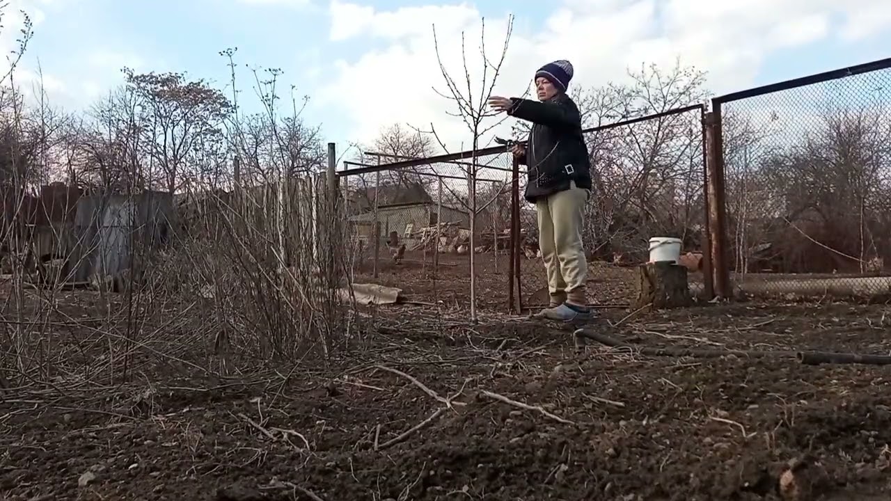 Весенняя работа💗Обрезали с Серёжей все деревья🌲🌳🌴
