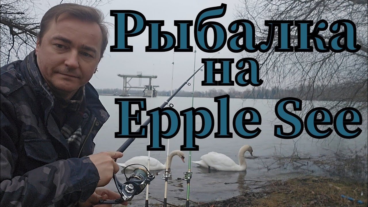 Активная рыбалка🎣 на Epple See клюнула плотва #рыбалка #angeln #fishing #pêche #pescado #see #плотва