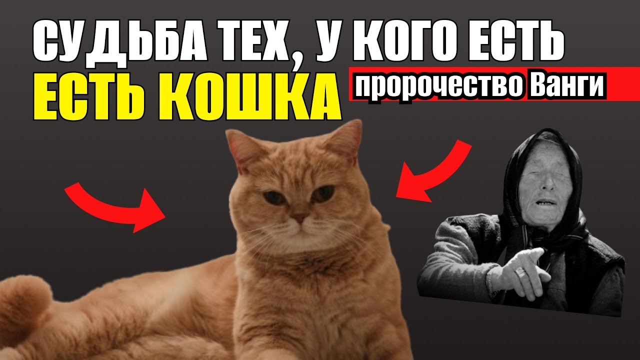 Судьба тех, у кого есть КОШКА! Вот Что Приносит Кошка в Дом!
