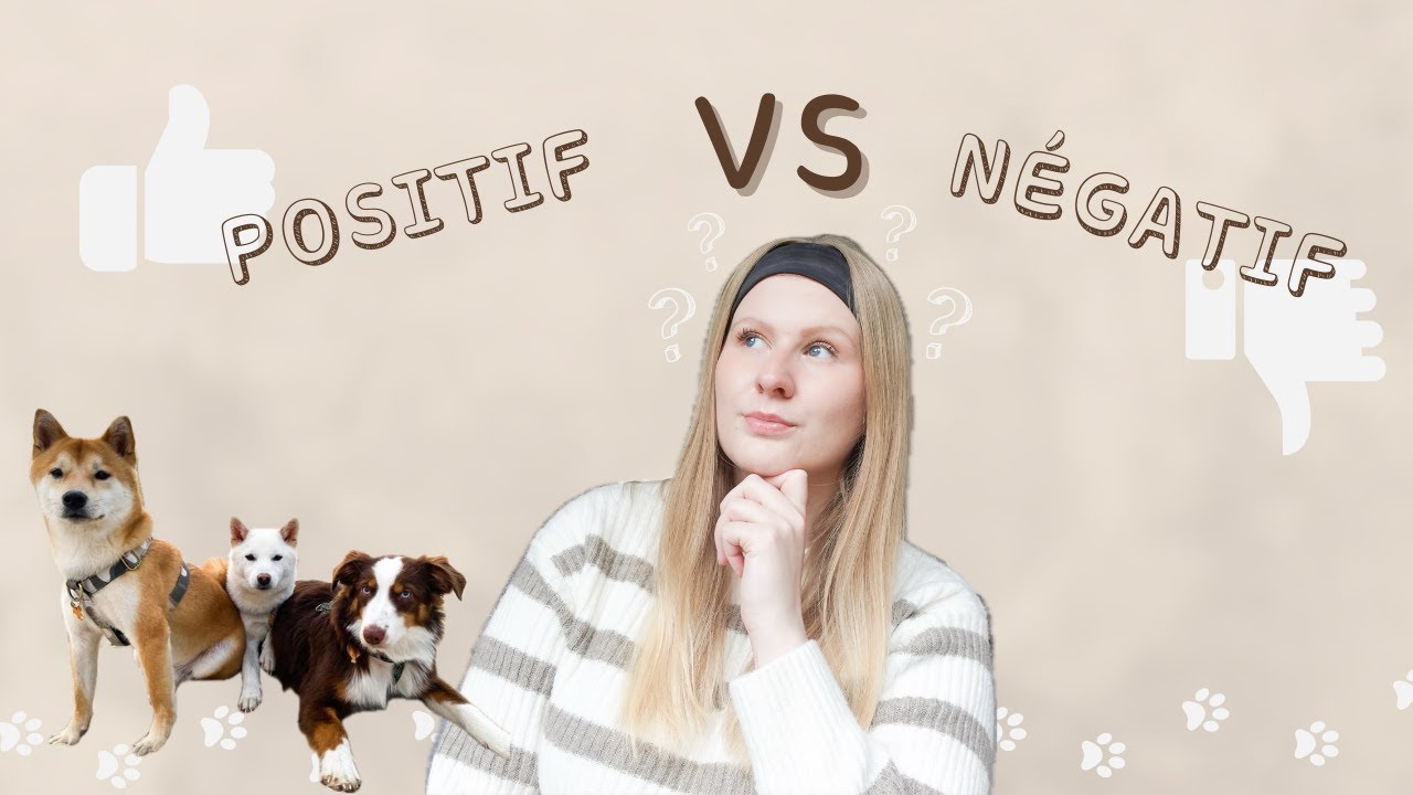 LES POINTS POSITIFS ET NÉGATIFS À AVOIR PLUSIEURS CHIENS 🐾