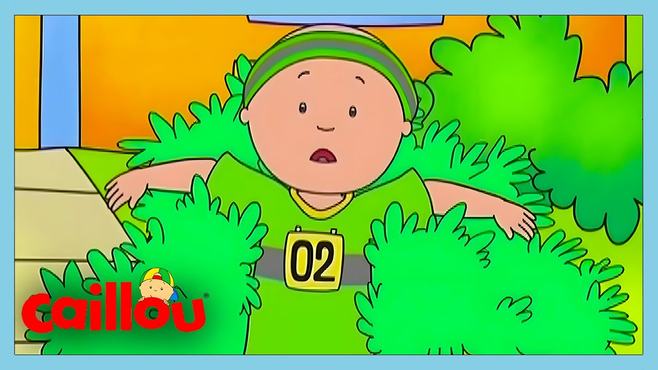 Caillou Koşuya Çıkıyor! | Caillou | WildBrain Çocuklar