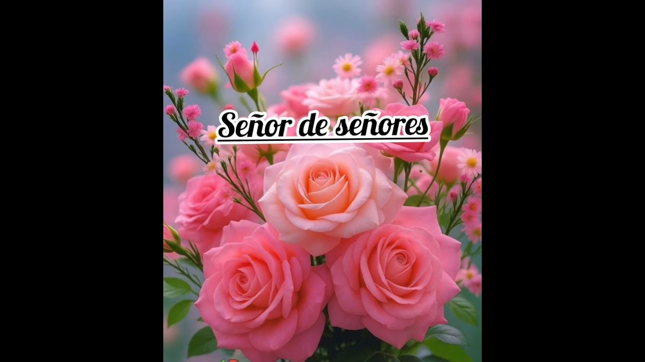 SEÑOR DE SEÑORES (ALABANZA)
