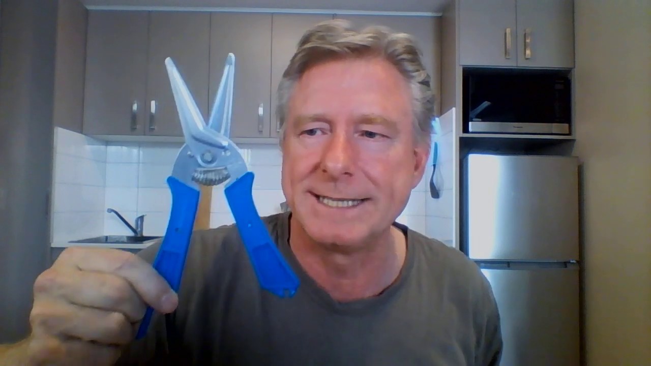 Скоро в продаже Введение в Snips