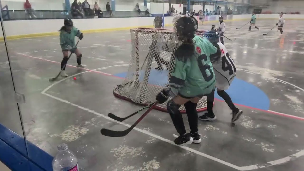Surrey Girls U14 B1 vs Surrey Girls U14 B2 Saturday April 12 2025 Newton Arena