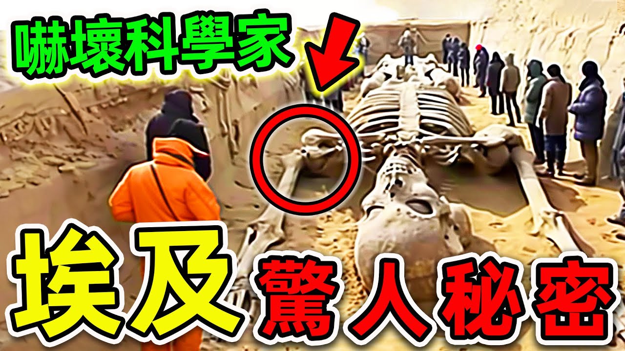埃及最可怕的10個驚人發現！巨人文明竟然真實存在，第一名考古學家至今無法解釋。|#世界之最top #世界之最 #出類拔萃 #腦洞大開 #top10 #埃及 #驚人發現