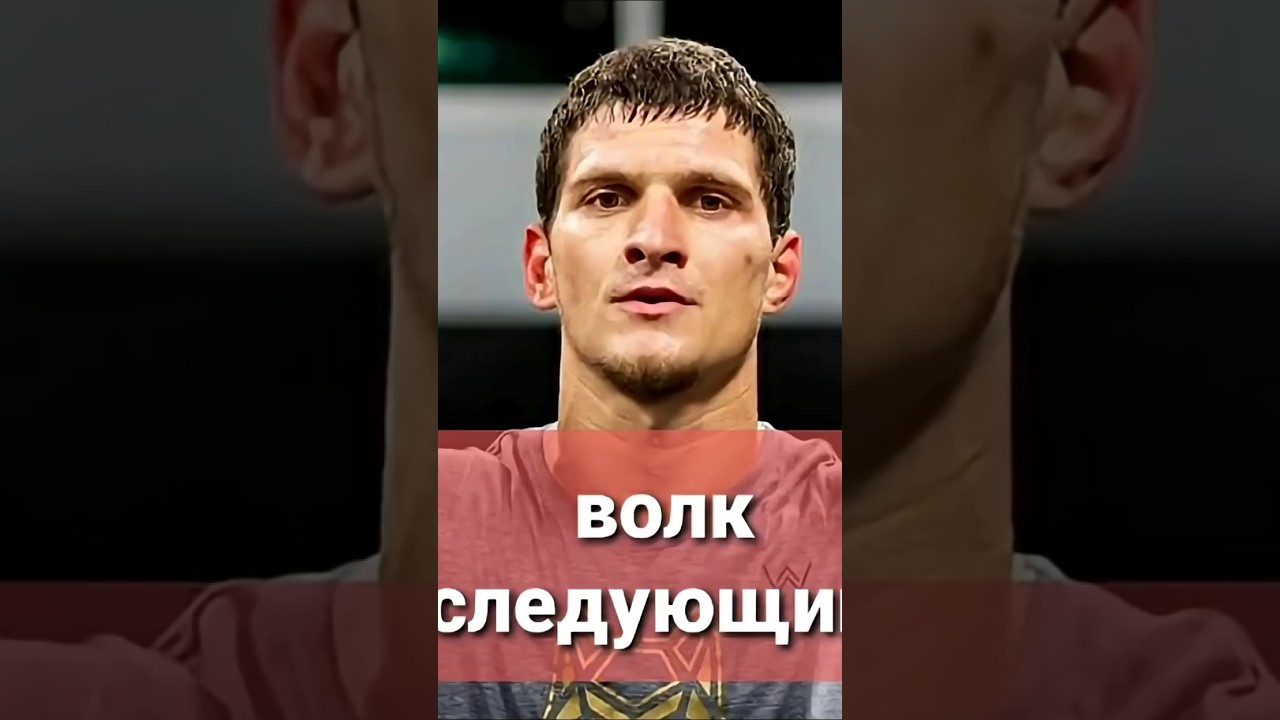 Мовсар Евлоев про бой за титул #новостимма