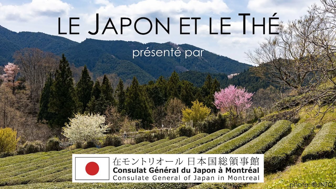 茶道 Le thé et le Japon (FR)
