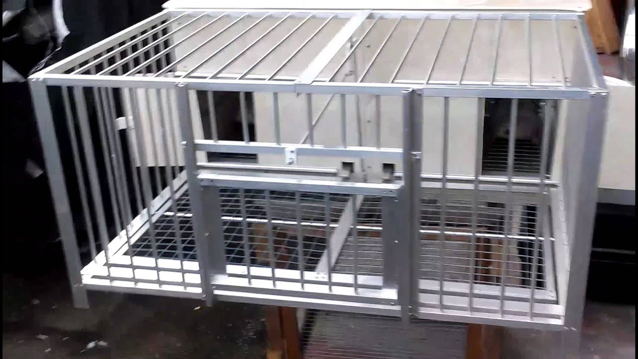 Mi nueva trampa hecha por roberto.