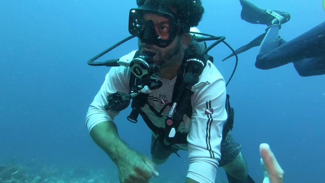 Safeguarding Nature Projects - Saba Bank - Noise Loggers