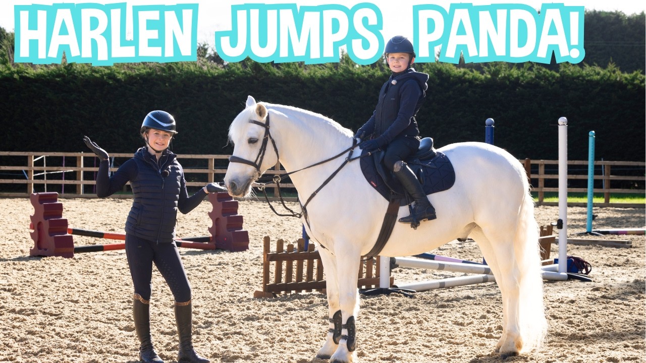 Harlen JUMPS my pony PANDA!