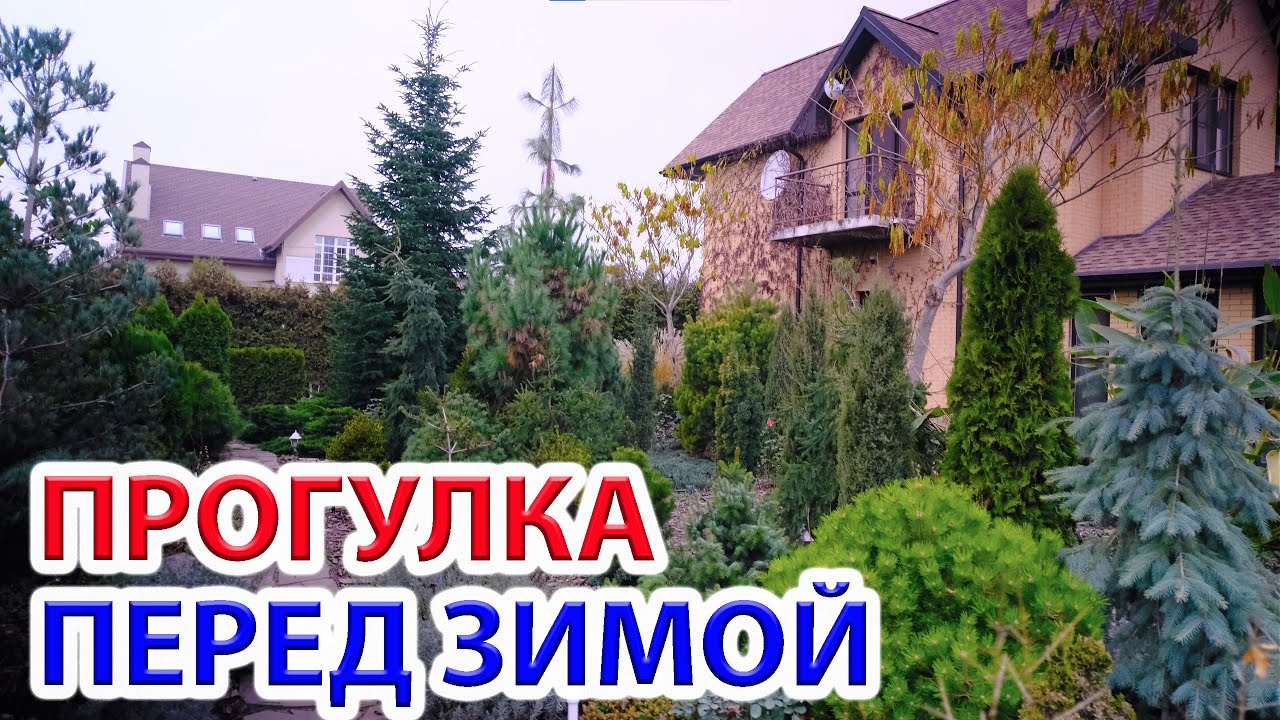 Прогулка по саду перед зимой