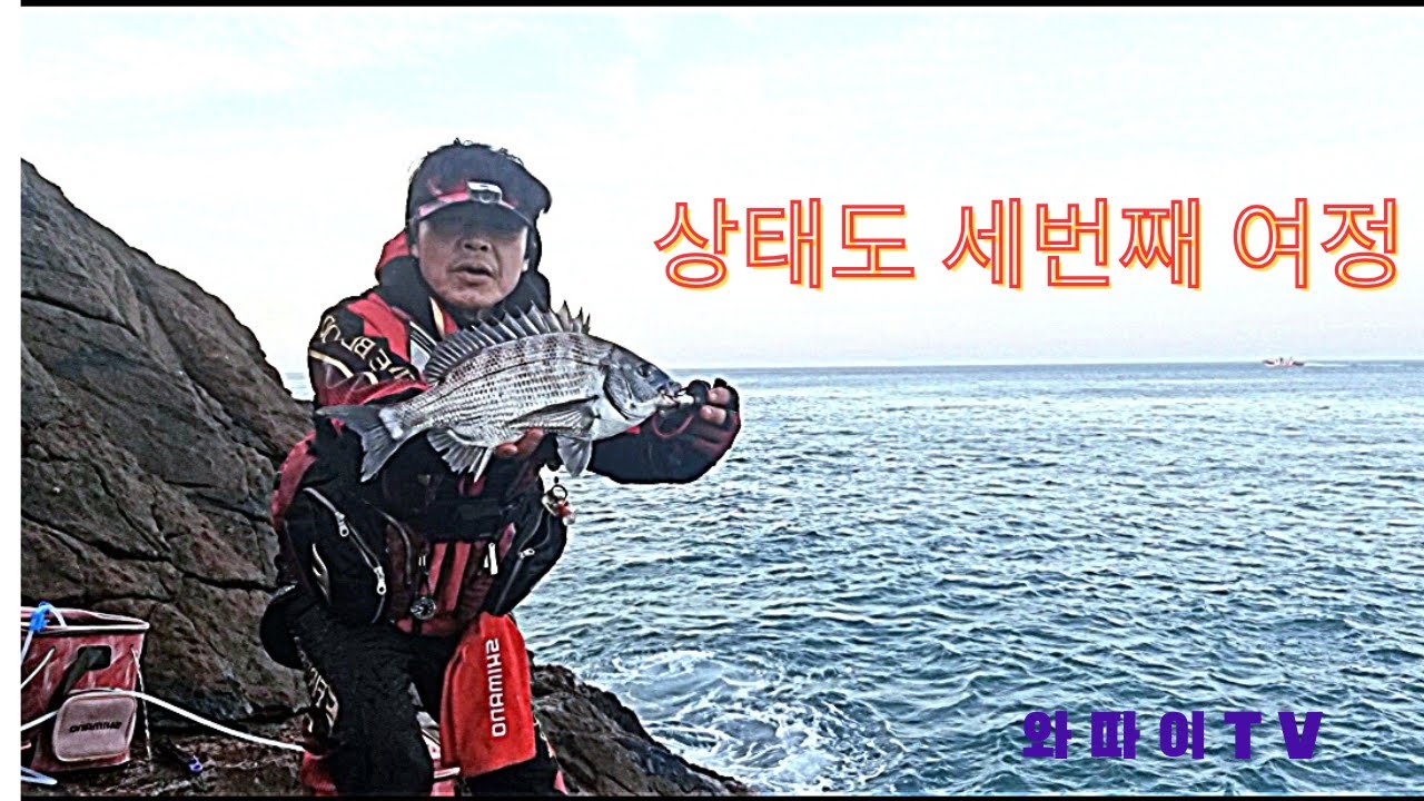 상태도 오전 짬낚시!!입질은 여전하다~~