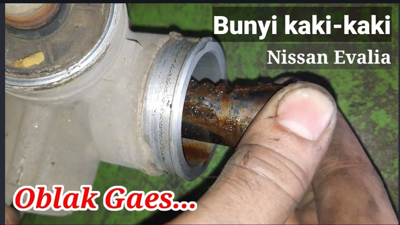 Bunyi kaki kaki Nissan evalia Penyebab perbaikan dan harganya.