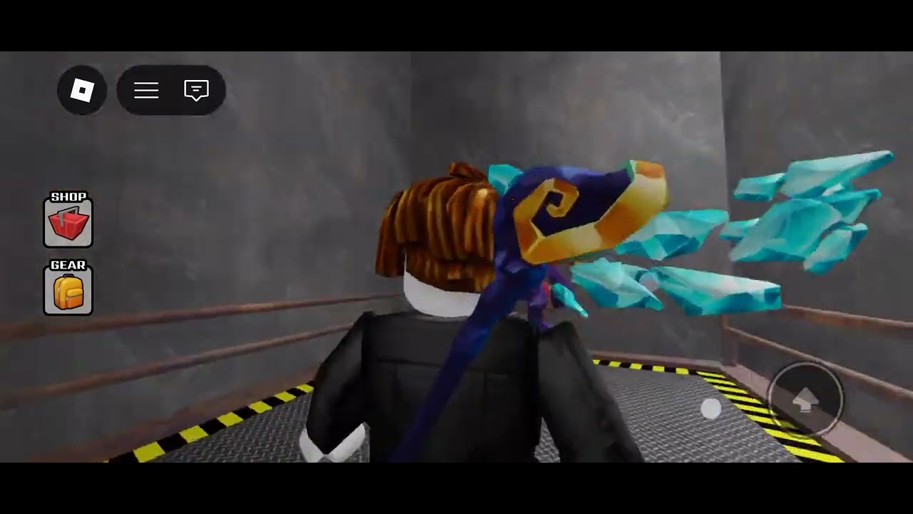 Playing Roblox 