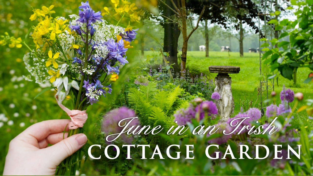 June in the cottage garden | a day in my life | country living | cottage garden design