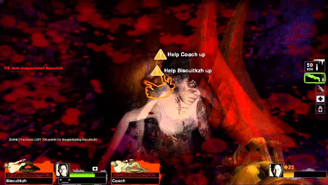 L4D2 Custom Campaign: Loony Park (Expert) - Best of