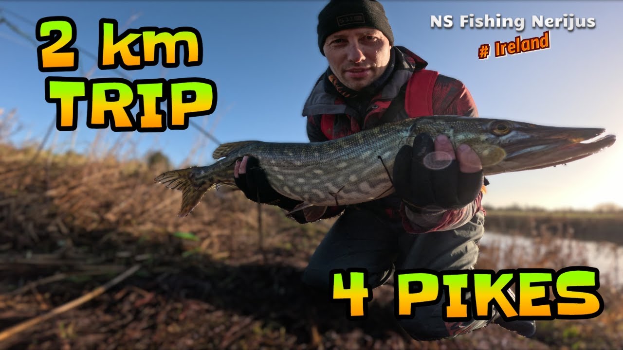 2km Trip 4 Pikes #fishing #ireland #lithuania #spinfishing #zvejyba