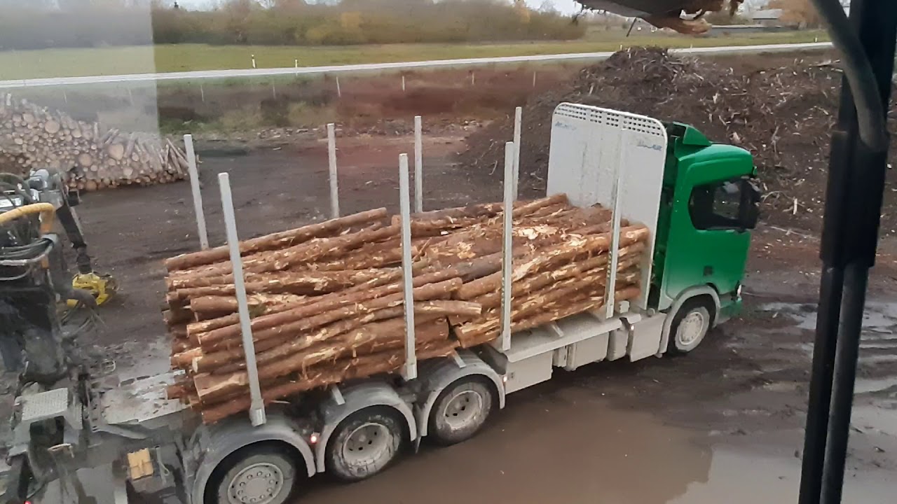 Fuchs 350MHL loading timber.