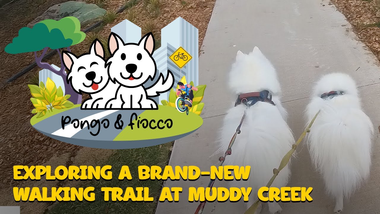 Exploring a Brand New Walking Trail at Muddy Creek -日本語字幕-