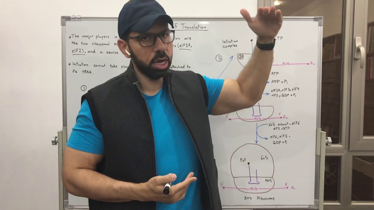Initiation of Translation