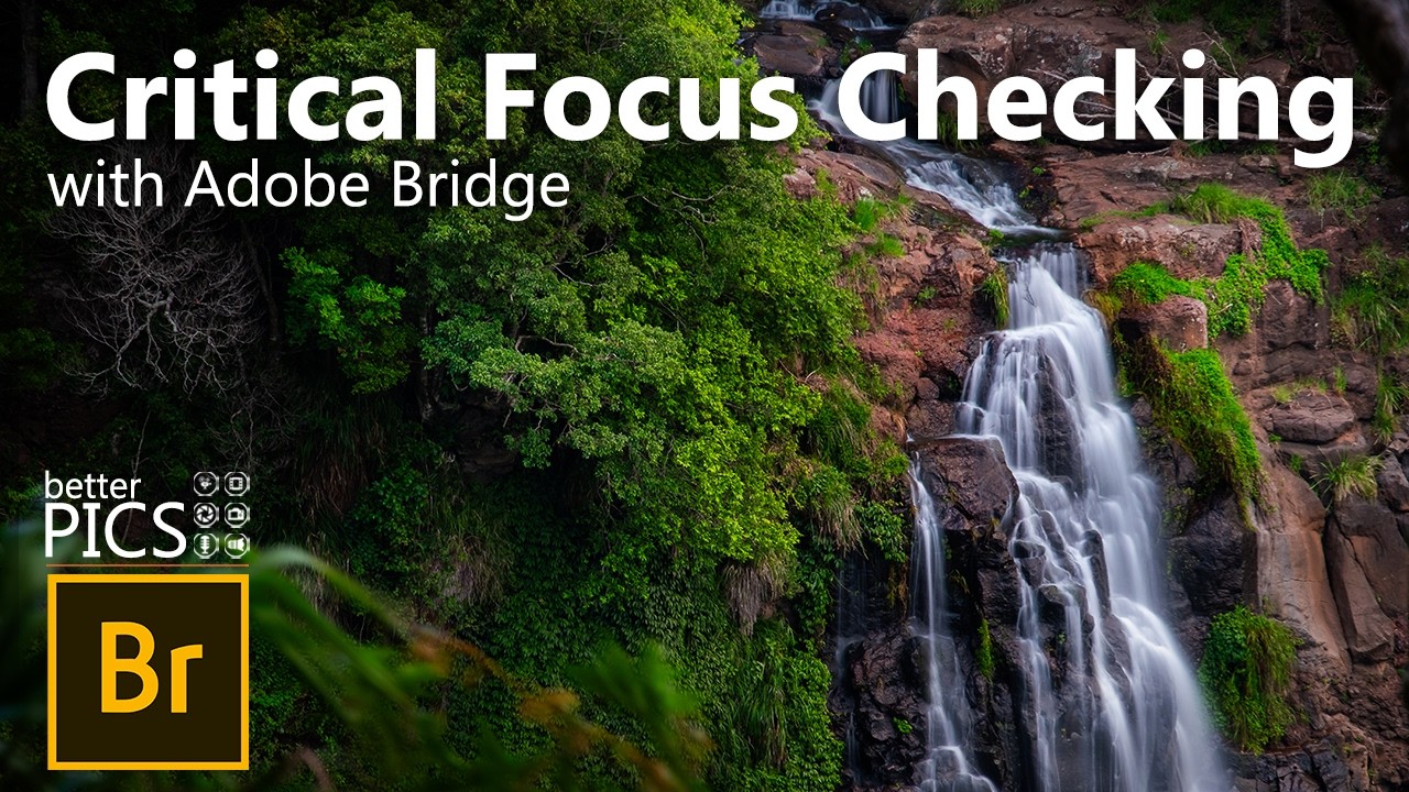 Проверка критической фокусировки в Adobe Bridge | #AdobeBridge #ПроверкаФокуса #РабочийПроцессРед...