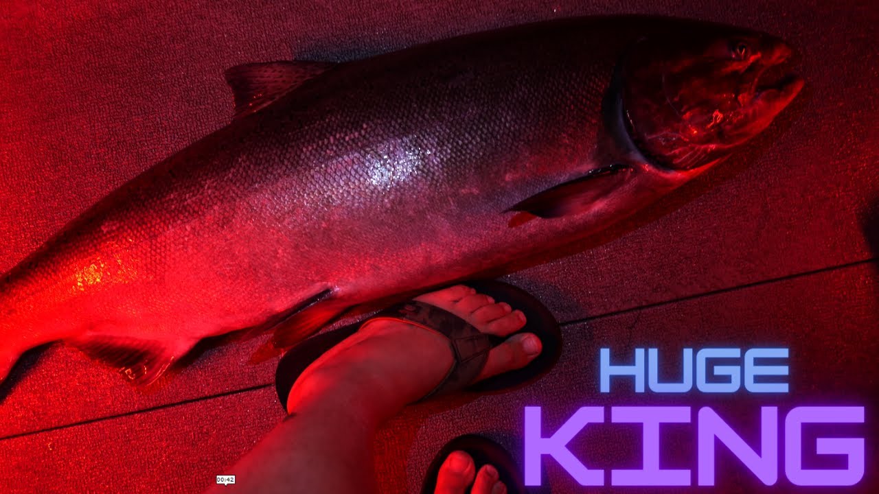 How to Make the Most of Brewster Sockeye & Chelan KINGS Day 1: Camp, Cook & Conquer