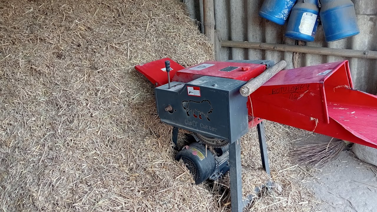 Paddy Straw Cutting Time 🌾 | Chaff Cutter Machine | DairyGlowLife