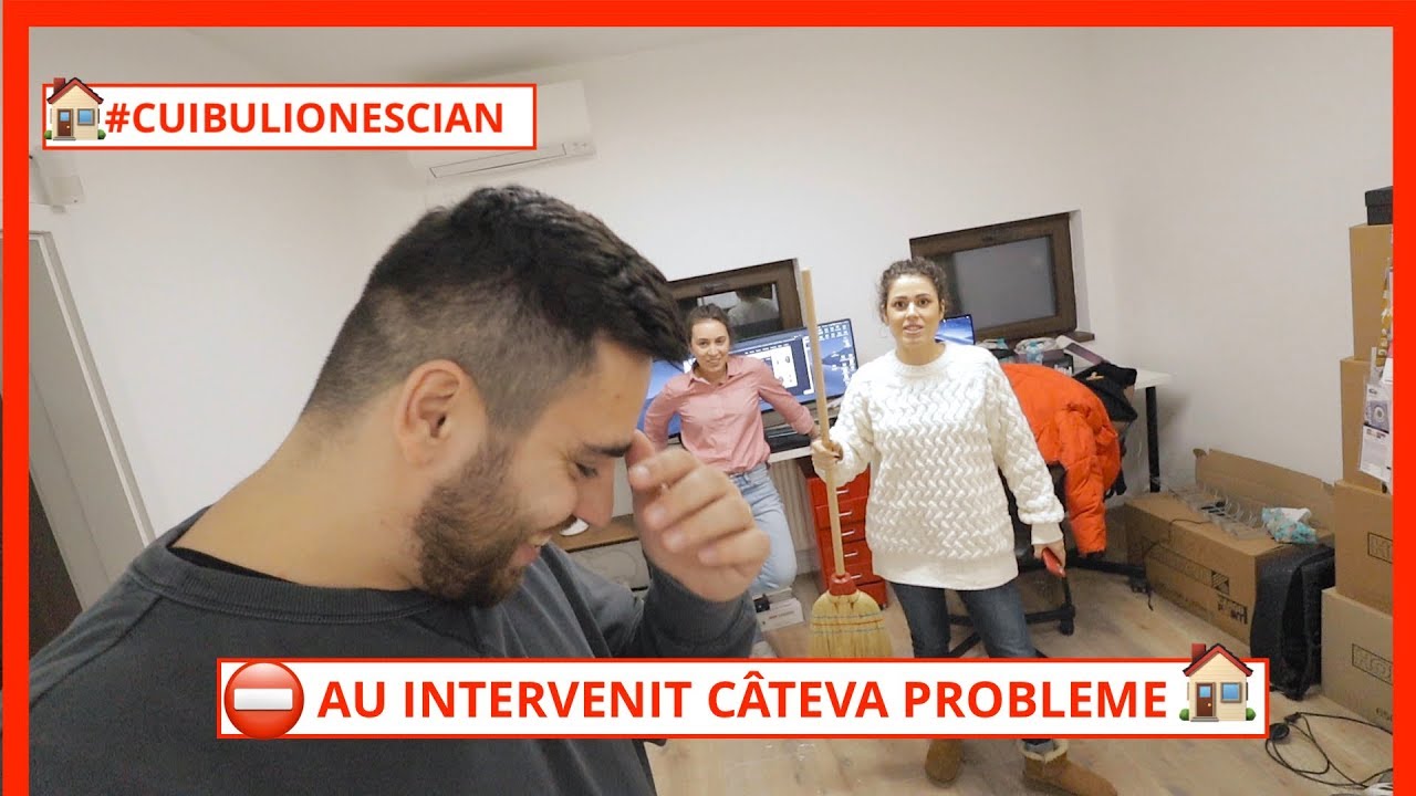 🏠 PROBLEME ÎN CUIBUL IONESCIAN