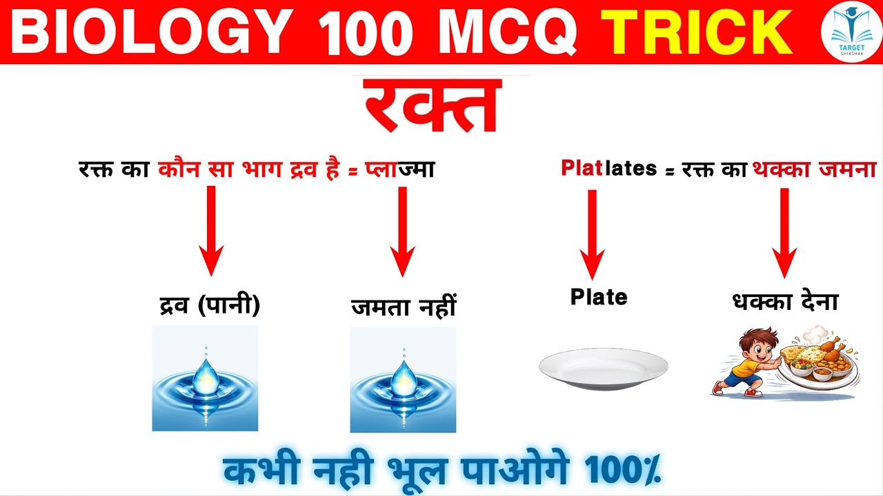 2ⁿᵈ Grade & LDC 2026 Biology Blood Most Important MCQ | PYQ NCERT Based By SatendraChoudhary