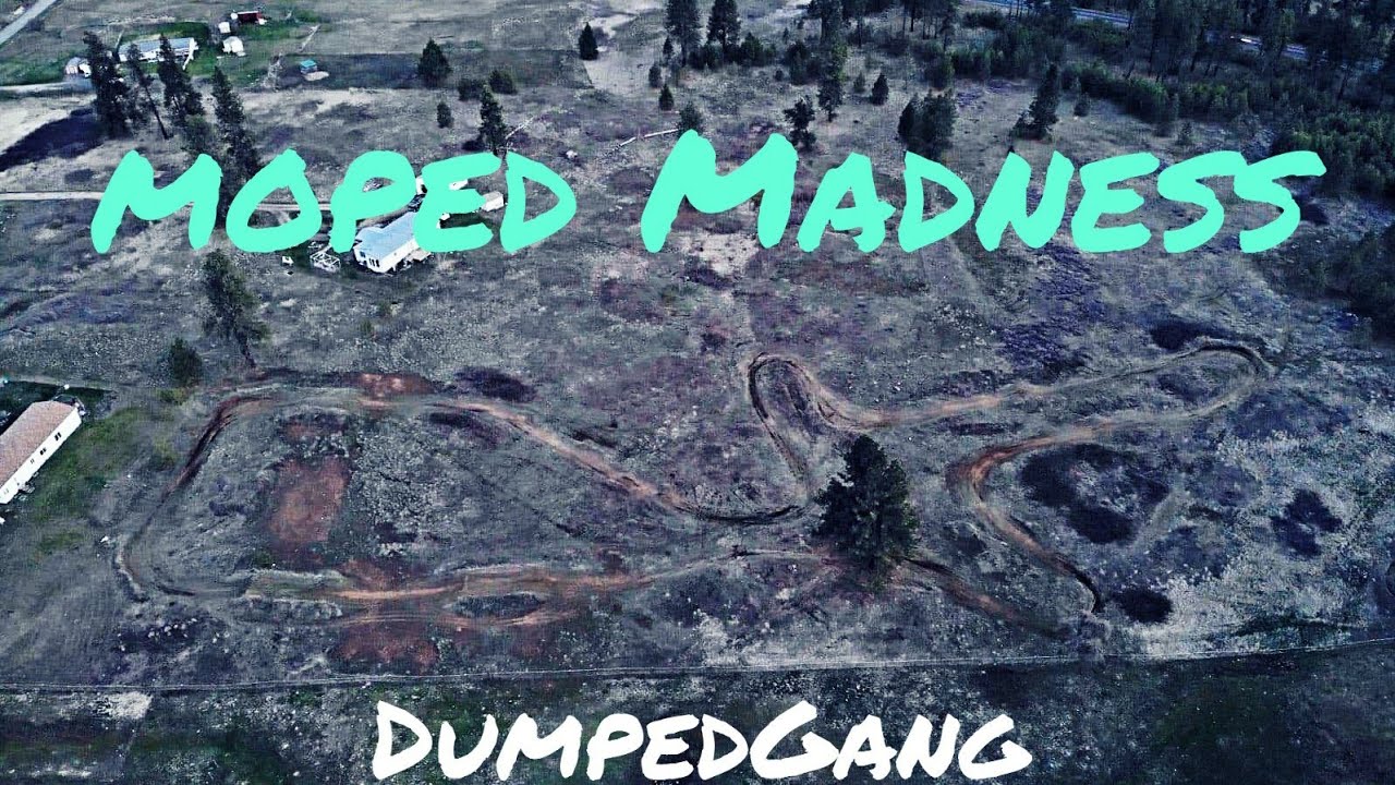 Moped Madness 1