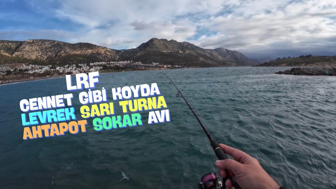 Mersin Tisan LRF Levrek / Sarı Turna / Ahtapot / Sokar / Domuz Balığı Avı. Hanfish Slap Jig - Shad