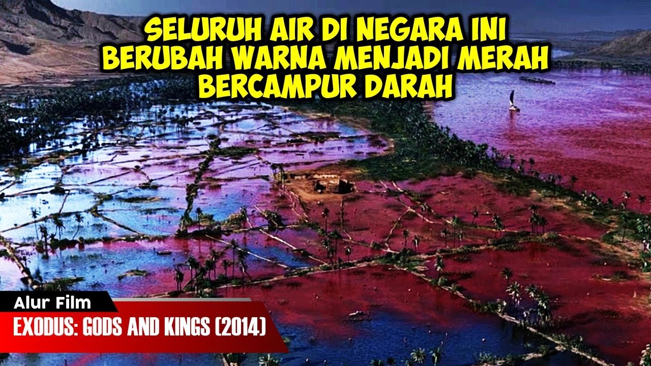 DISERANG JUTAAN BUAYA, KODOK, LALAT DAN BELALANG | ALUR CERITA FILM EXODUS: GODS AND KINGS (2014)