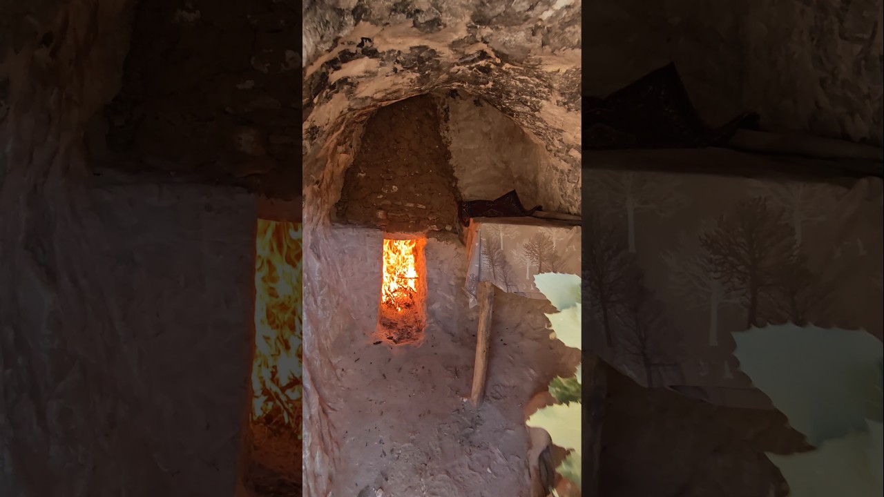 Off-Grid Primitive Cave Shelter | Bushcraft Survival with Dog in the Wild  #nature #camping